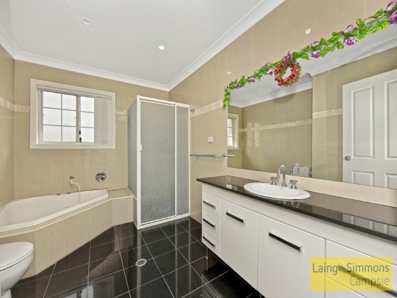 20 Napoleon Road, Greenacre NSW 2190