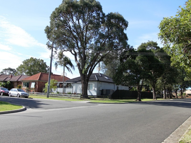 25 Blenman Ave, Punchbowl NSW 2196