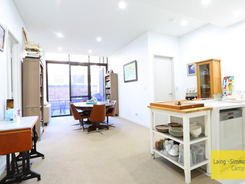 117/347 George St, Waterloo NSW 2017
