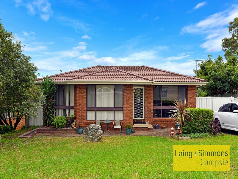 228 Eagleview Road, Minto NSW 2566