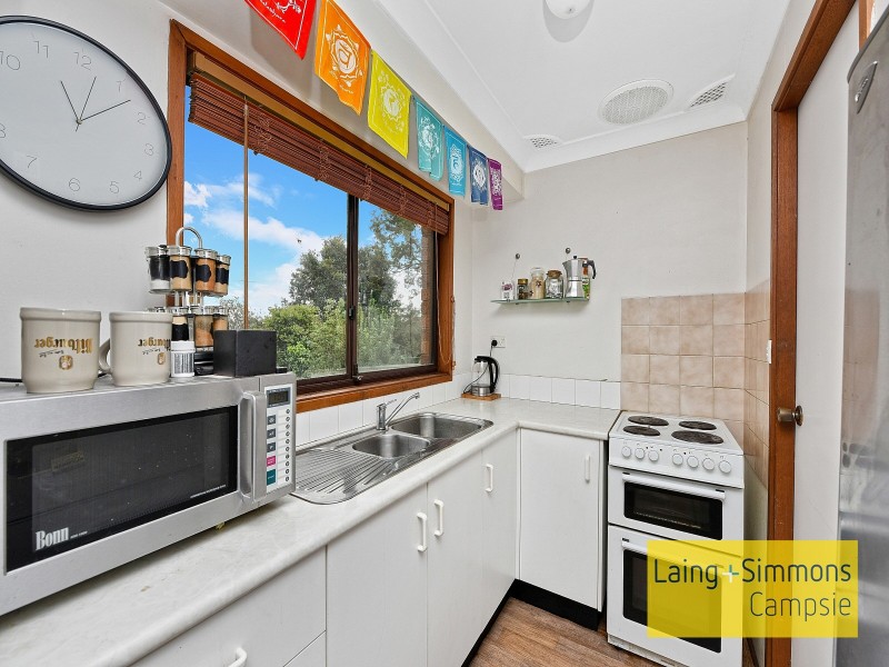 228 Eagleview Road, Minto NSW 2566