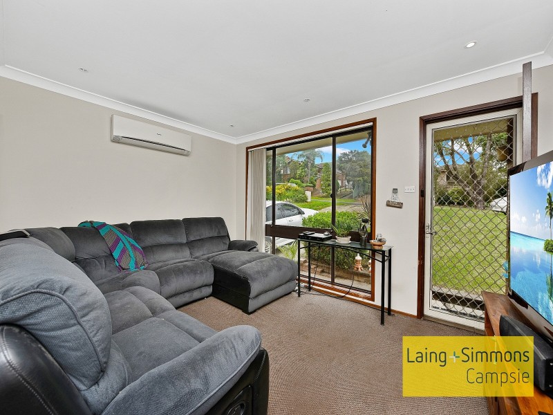 228 Eagleview Road, Minto NSW 2566