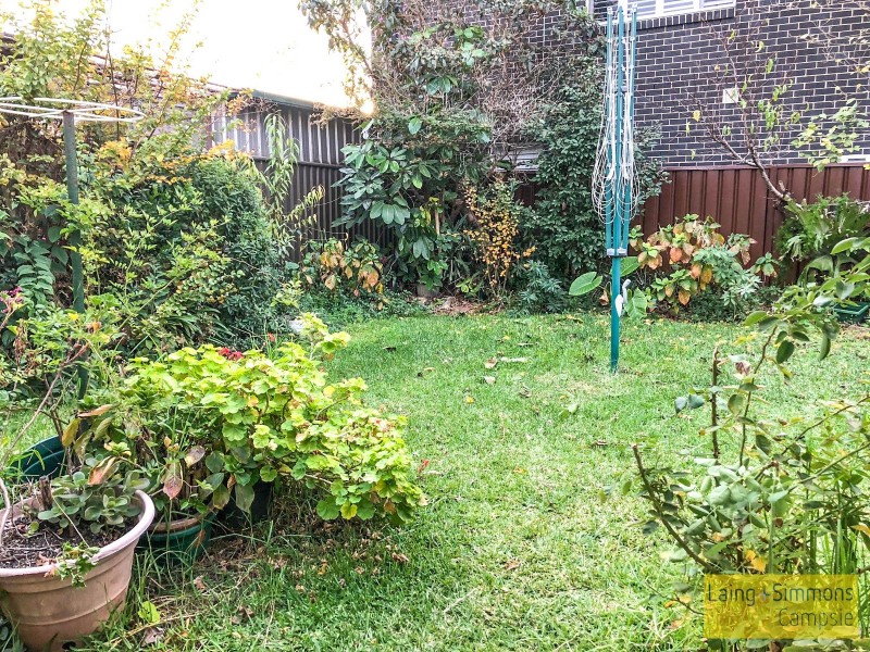 31 Clissold Parade, Campsie NSW 2194