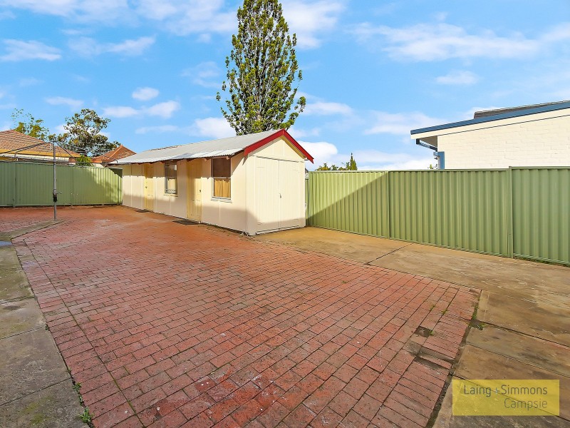 10 Boronia Ave, Burwood NSW 2134