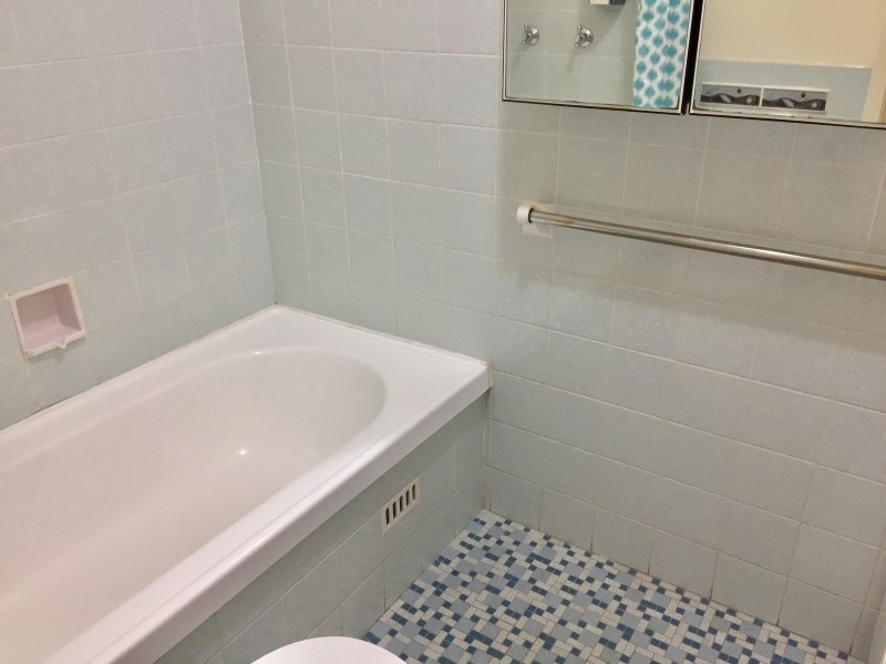 30/8 Brunswick Prd, Ashfield NSW 2131