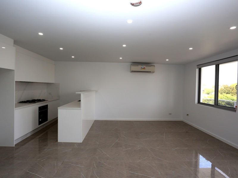 16 Ferguson Ave, Wiley Park NSW 2195