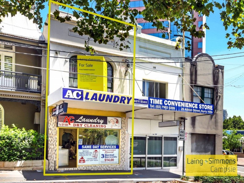 29a Albion Street, Surry Hills NSW 2010