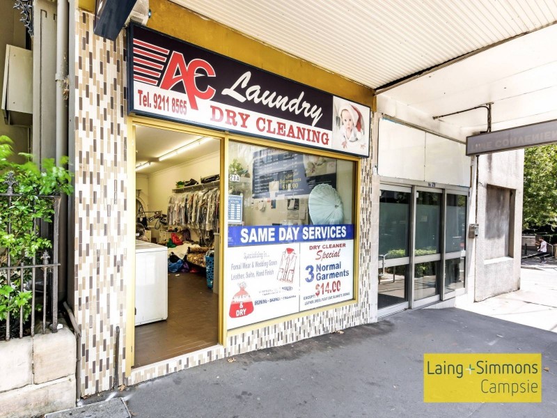 29a Albion Street, Surry Hills NSW 2010