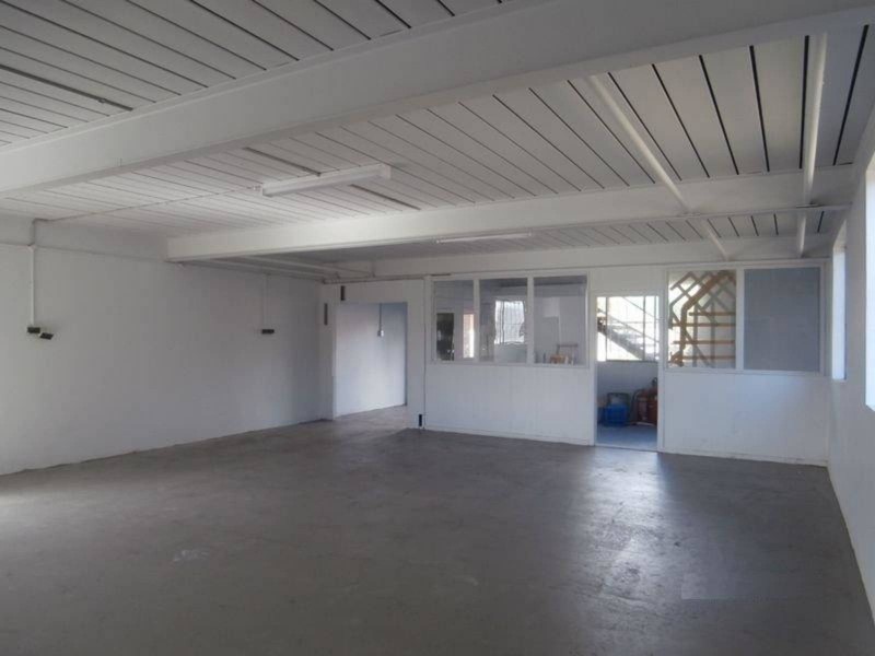 62 Consitution Road, Dulwich Hill NSW 2203