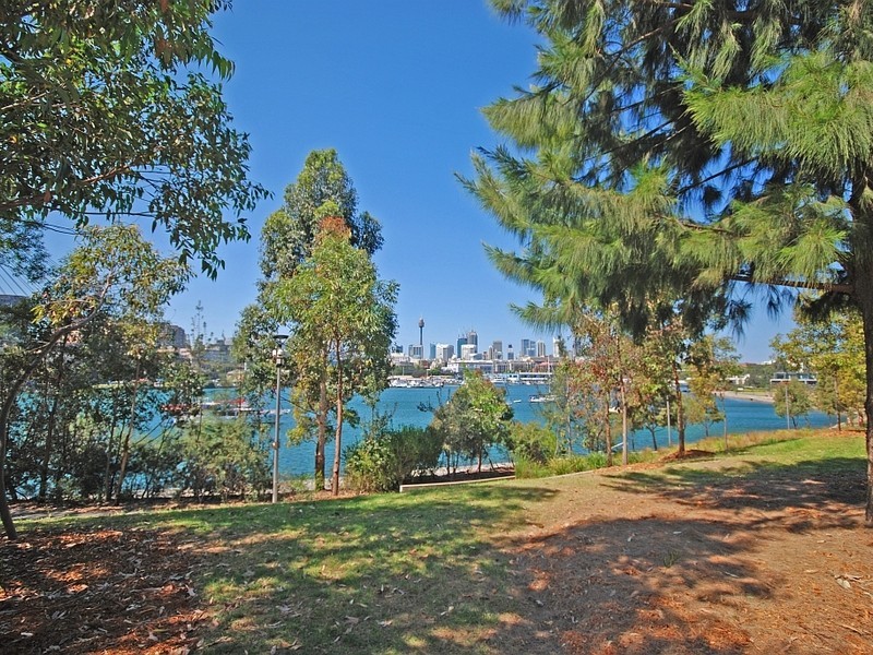 16/14 Leichhardt Street, Glebe NSW 2037