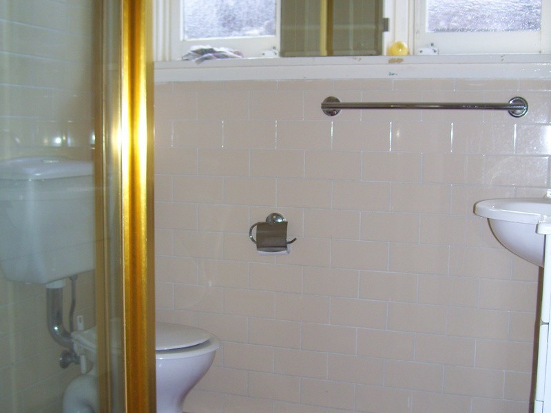 4 Tawa Street, Ashfield NSW 2131