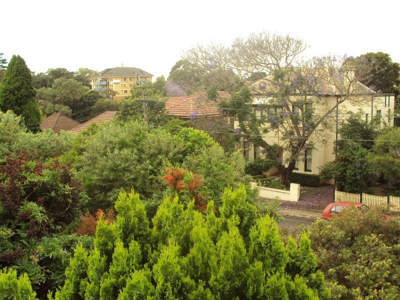 3/90 Bland Street, Ashfield NSW 2131