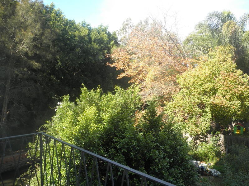 3/77 Hawthorn Parade, Haberfield NSW 2045