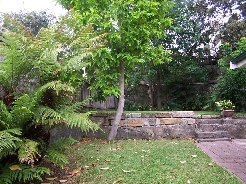 33 St Georges Crescent, Drummoyne NSW 2047