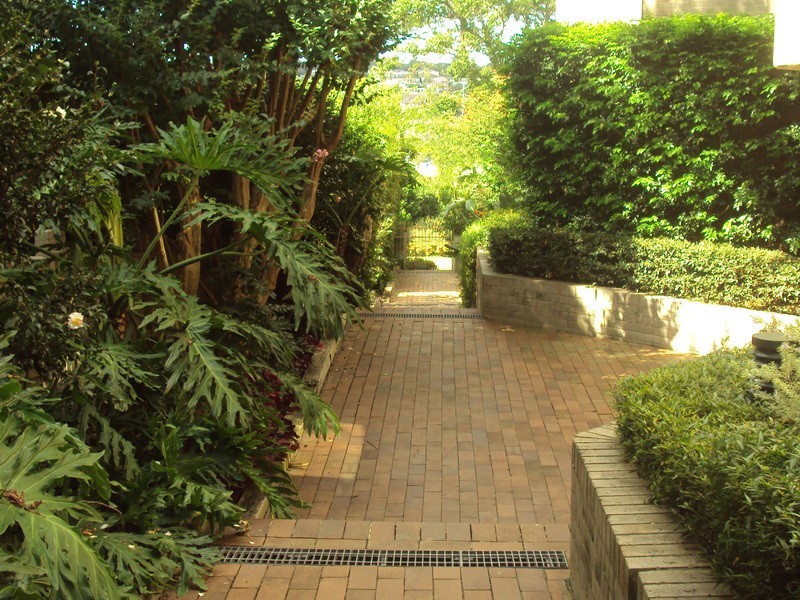 1/54 Wrights Road, Drummoyne NSW 2047