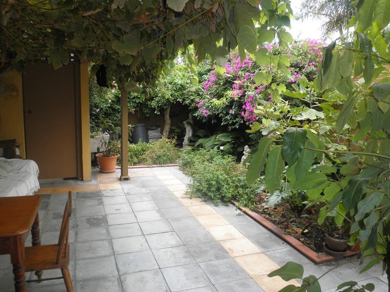 20 Carrington Street, Lewisham NSW 2049