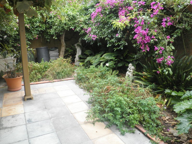 20 Carrington Street, Lewisham NSW 2049