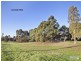 22 Sutton Street, Five Dock NSW 2046