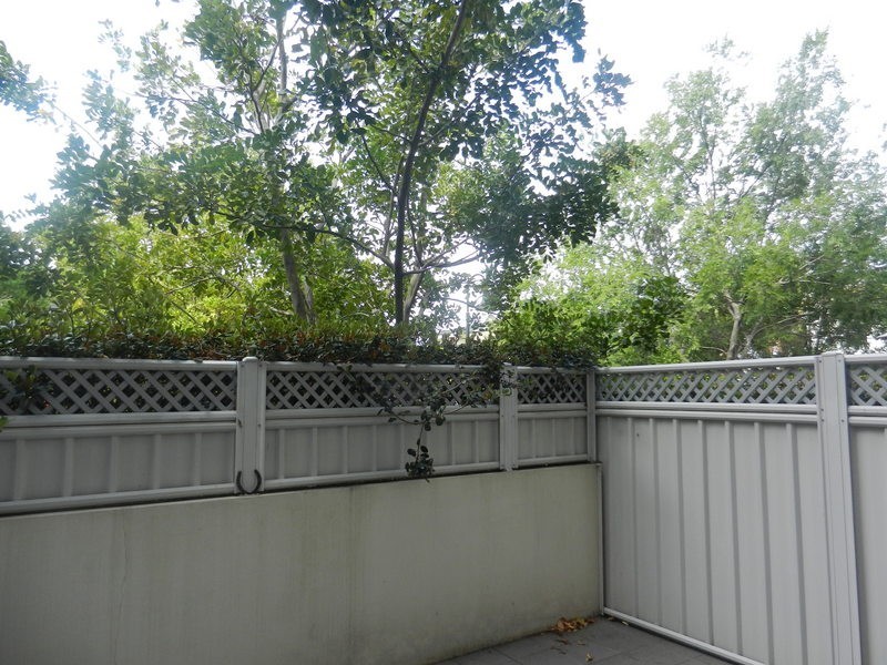 15/1 Blackadder Close, Chiswick NSW 2046