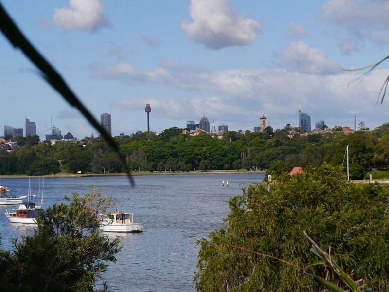 41 Burnell Street, Russell Lea NSW 2046