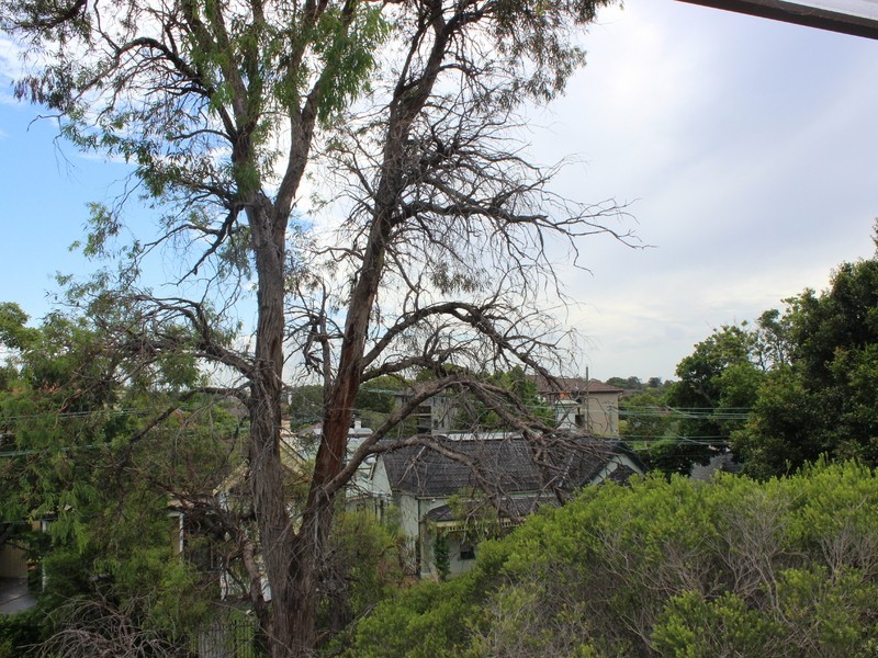 7/7 Church Street, Ashfield NSW 2131