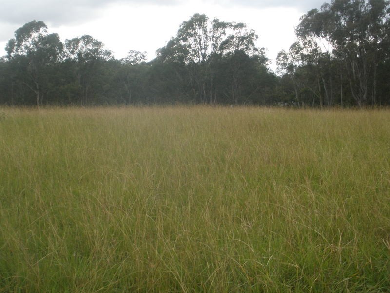 Mount Vernon NSW 2178