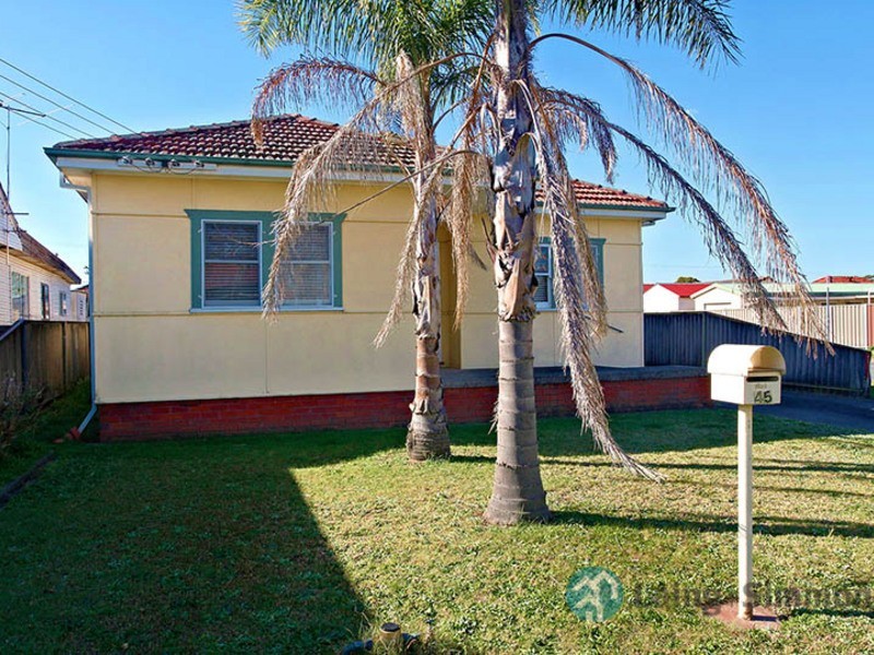 45 Buckingham St, Canley Heights NSW 2166