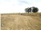 Middleton Grange NSW 2171