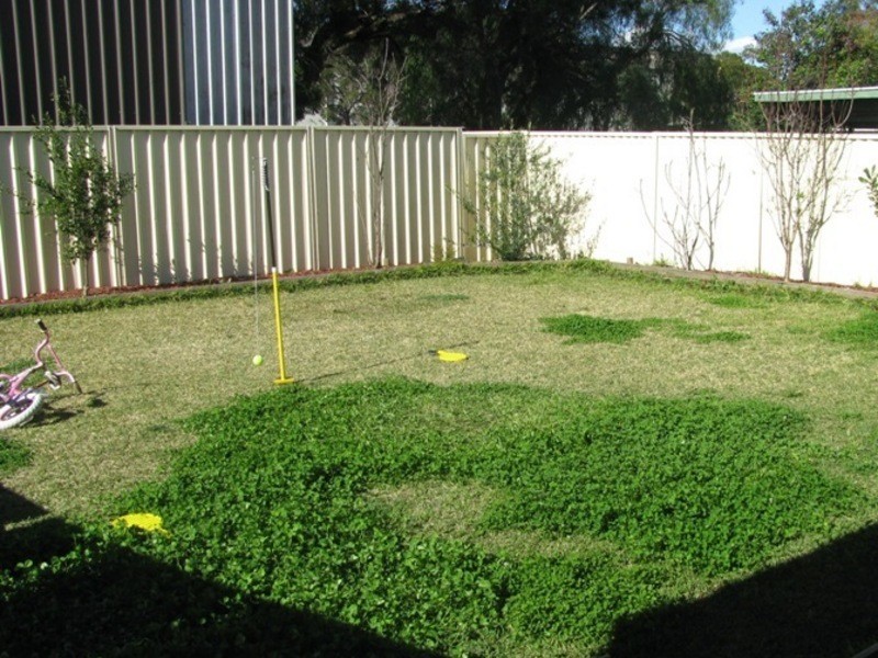 36 Crown Street, Fairfield East NSW 2165