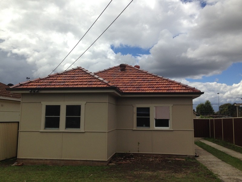 19 Lavinia Street, Granville NSW 2142