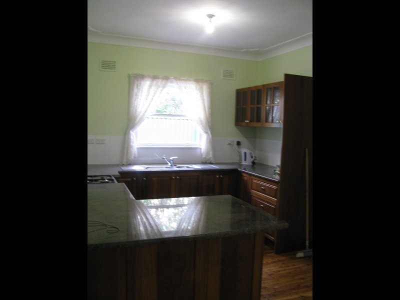 19 Louis Street, Granville NSW 2142