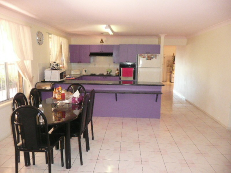 25 Debbie Cct, Mount Druitt NSW 2770