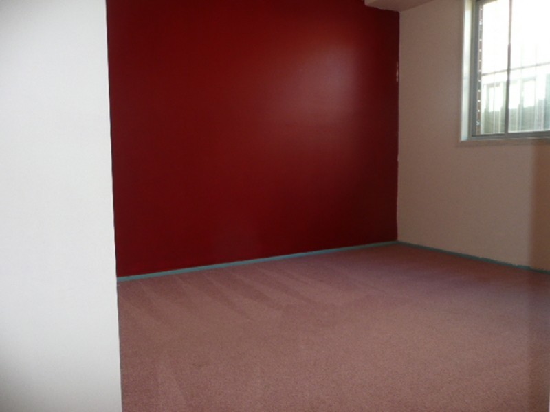 25 Debbie Cct, Mount Druitt NSW 2770