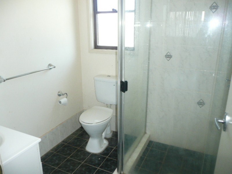 172 Minchin Drive, Minchinbury NSW 2770