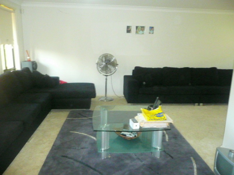 6 Hartwell Cres, St Clair NSW 2759