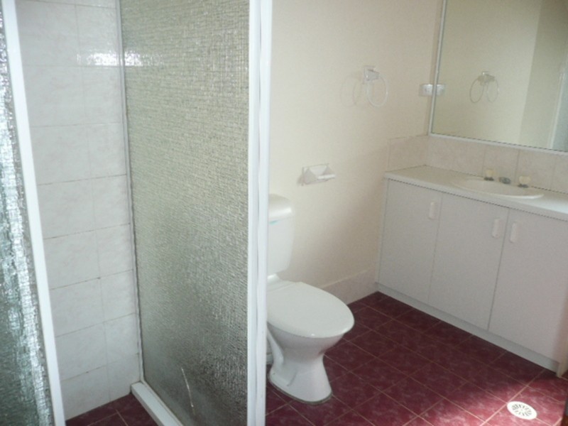 17 Tulloona Street, Mount Druitt NSW 2770