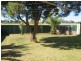 66 Tarawa Street, Lethbridge Park NSW 2770
