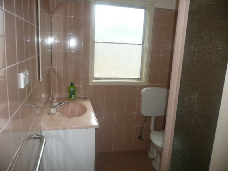 41  Tidswell Street, Mount Druitt NSW 2770