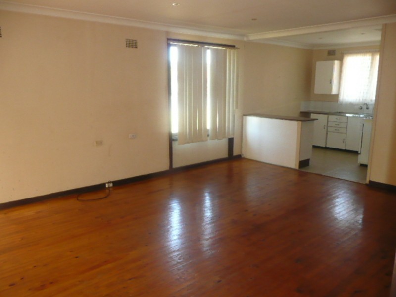 48 Copeland Ave, Emerton NSW 2770