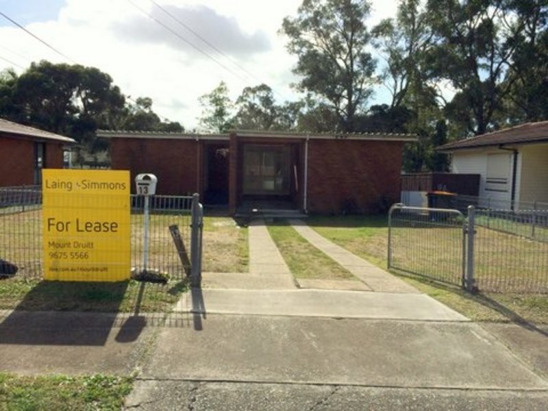 13 Roebuck Crescent, Willmot NSW 2770