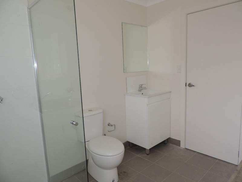 19A Idriess Crescent, Blackett NSW 2770