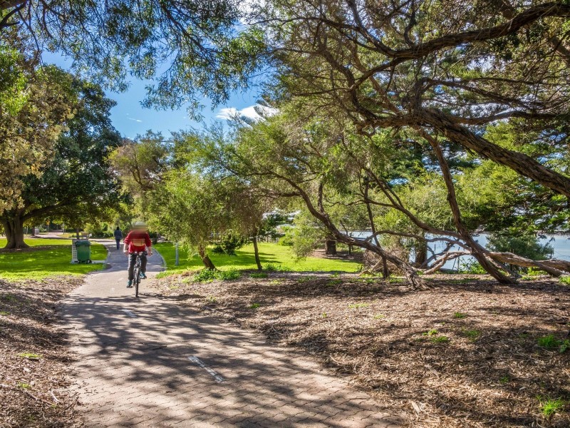 41 Bellevue Street, Arncliffe NSW 2205