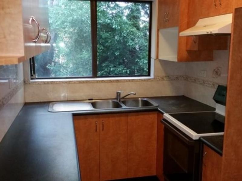 16/21-27 Tupper Street, Enmore NSW 2042