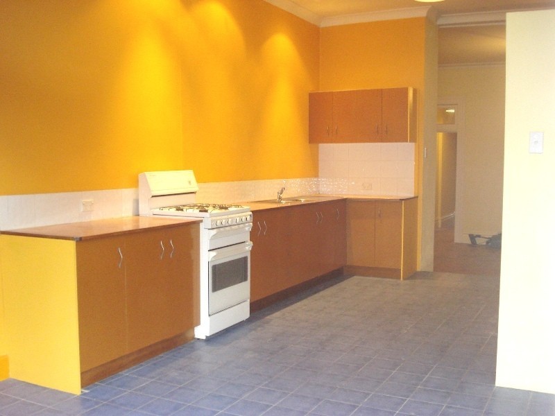 11a Pemell Street, Enmore NSW 2042