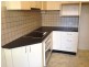 11 Reiby Street, Newtown NSW 2042