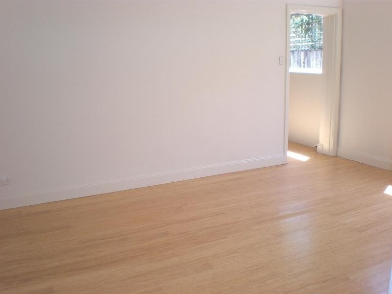 86 Silver Street, St Peters NSW 2044