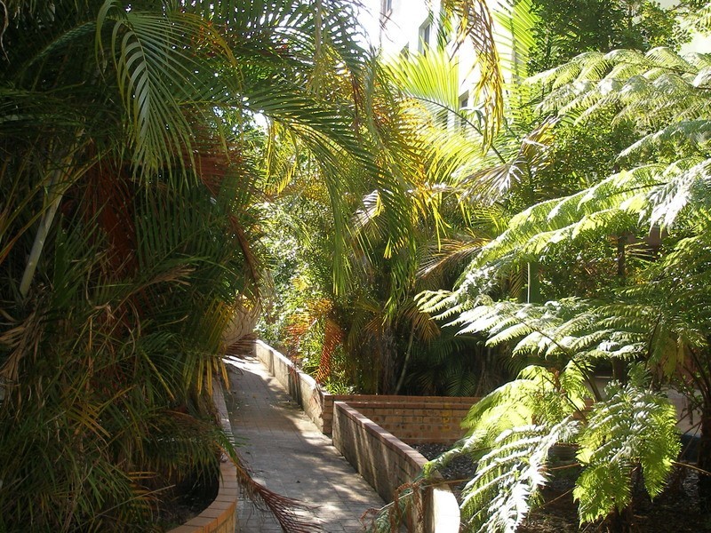 14/44-48 Isabella Street, North Parramatta NSW 2151