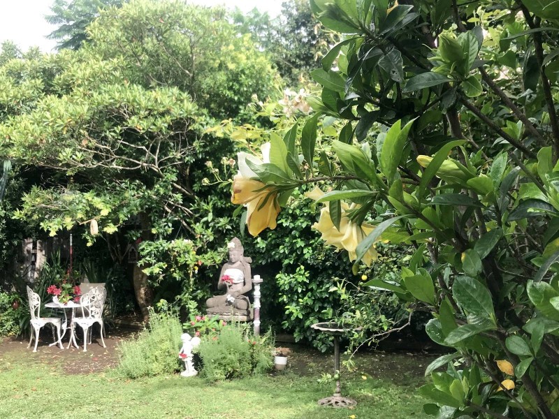 40 Miowera Road, Chester Hill NSW 2162