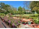 38 Bellamy Street, Pennant Hills NSW 2120