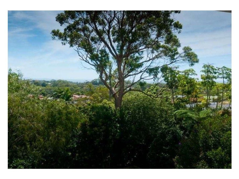 14 Jasmine Street, Port Macquarie NSW 2444